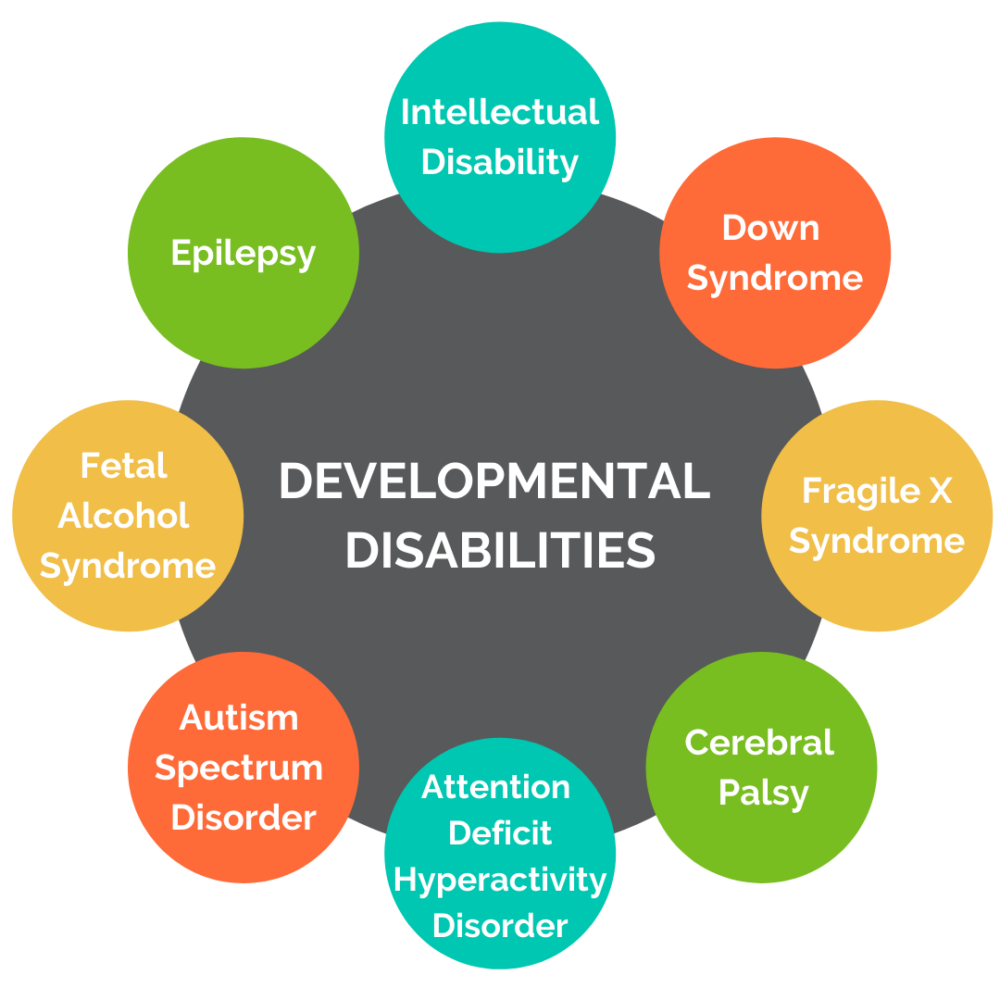 Developmental Disabilities Infographic 1000x1000 