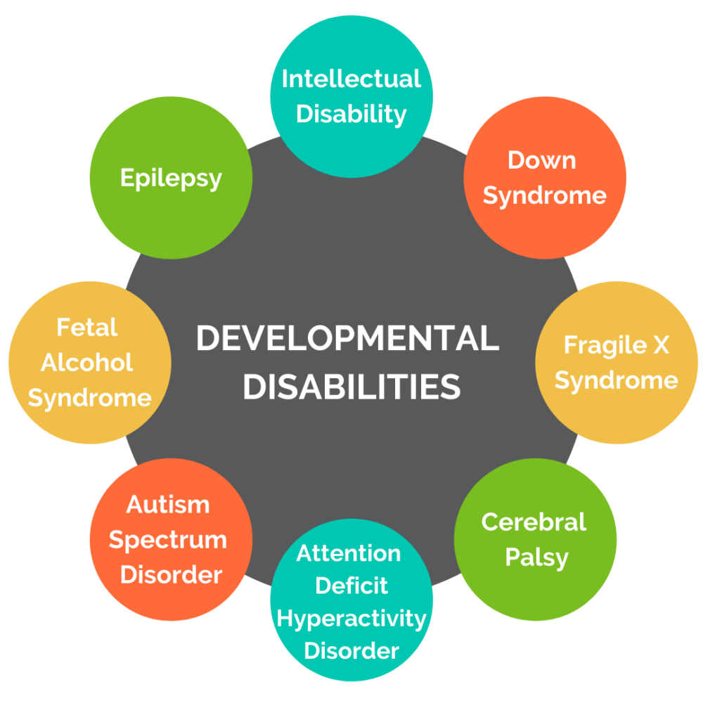 thesis for developmental disabilities