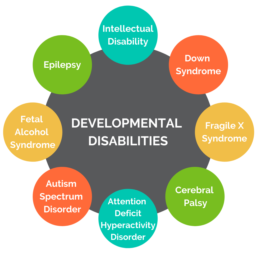 Developmental Disabilities Awareness Month Celebrate EDU   Developmental Disabilities Infographic 